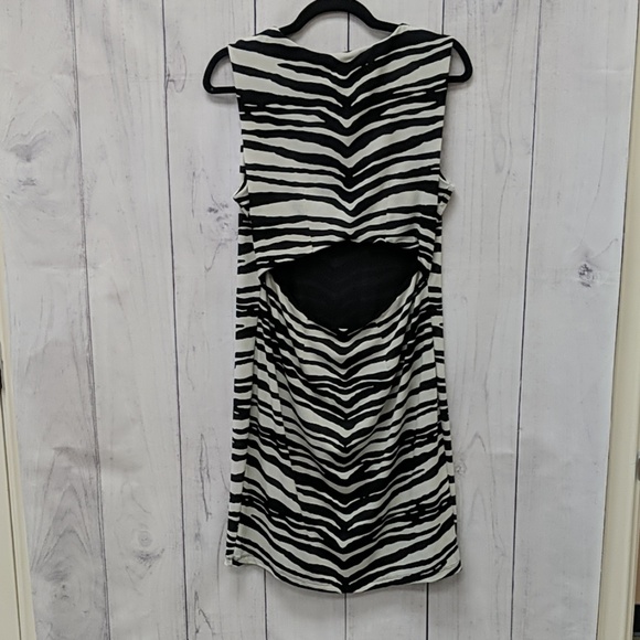 Jennifer Lopez Dress Zebra - Picture 6 of 6